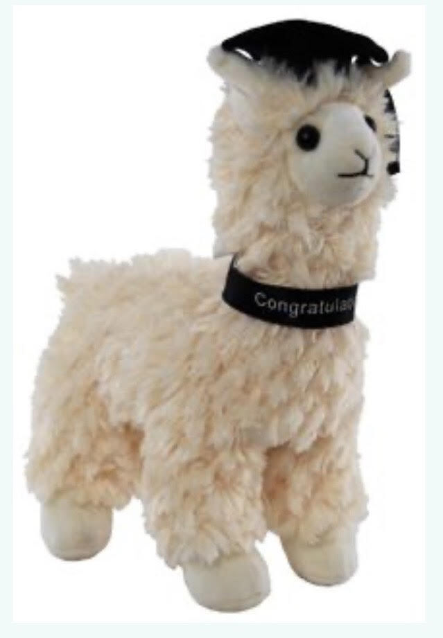 graduation llama plush