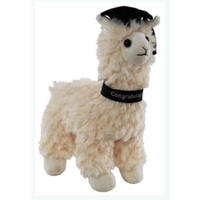 Graduation Llama
