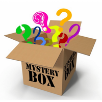 Christmas Fidget Toy Mystery Box