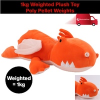 Weighted Dragon Toy 1kg