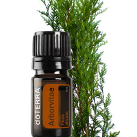 Essential Oil Arborvitae 2ml