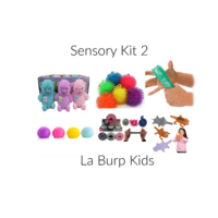Sensory Toy Kit 2