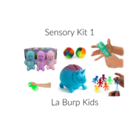 Sensory Toy Kit 1