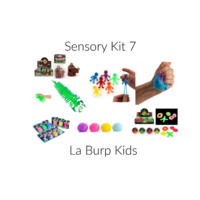 Sensory Toy Kit 7