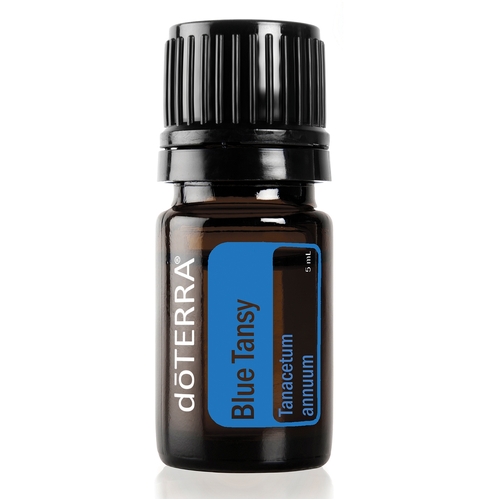 Blue Tansy Essential Oil 5ml [Size: 5ml]