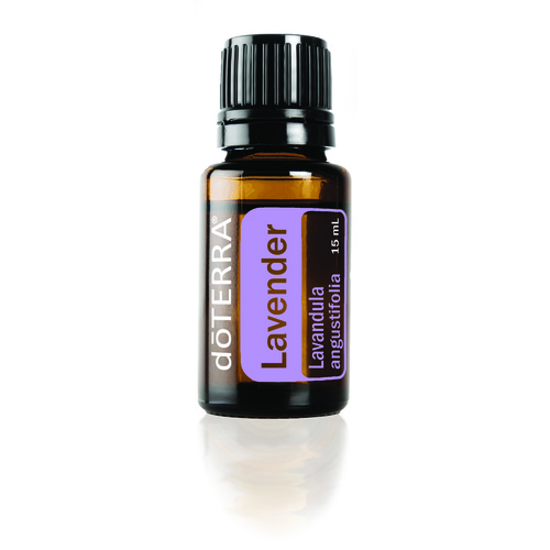 Lavender Essential Oil 
