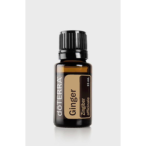 Ginger Essential Oil